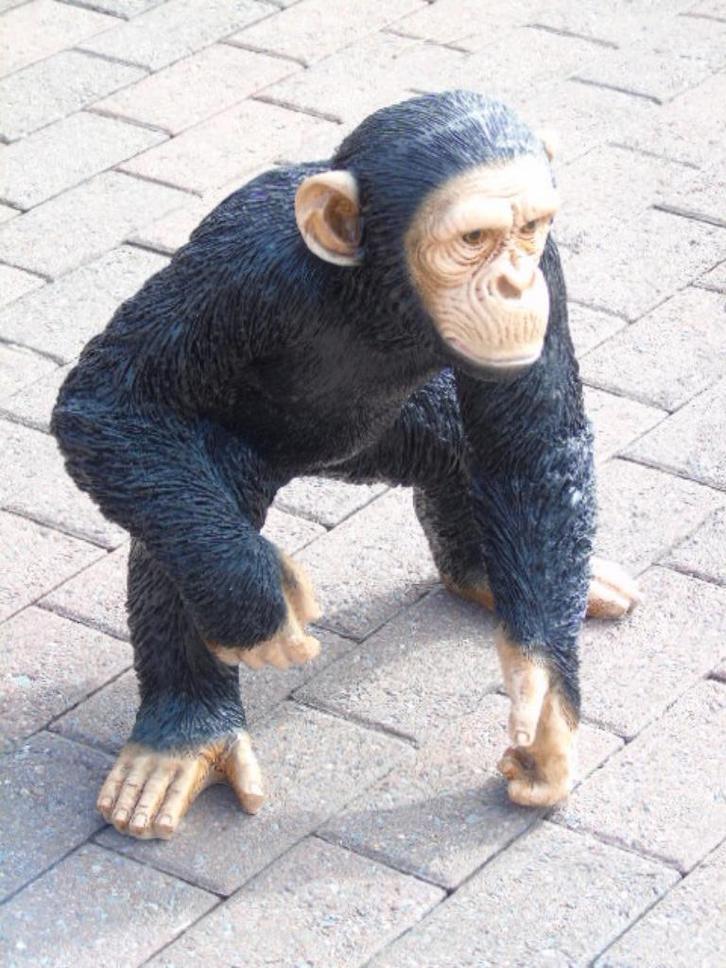 Standbeeld van een chimpansee, perfecte imitatie, Tuin en Terras, Tuinbeelden, Nieuw, Dierenbeeld, Kunststof, Ophalen