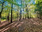 Grond te koop in Hertsberge, Immo, 1500 m² of meer
