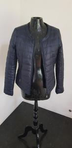 Scapa Sports damesjasje maat S/36, Kleding | Dames, Jassen | Winter, Ophalen of Verzenden, Maat 36 (S)