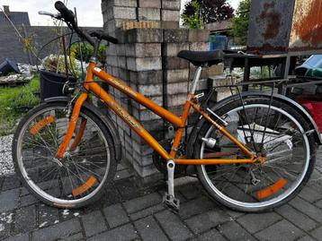 Kinderfiets beschikbaar voor biedingen