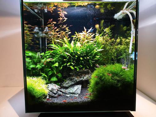 Superfish Qubiq 30 pro Aquarium, Dieren en Toebehoren, Vissen | Aquaria en Toebehoren, Gebruikt, Ophalen