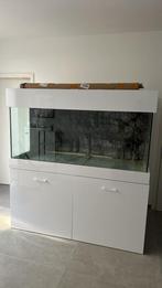 Zoetwater aquarium, Dieren en Toebehoren, Ophalen, Gebruikt, Leeg aquarium