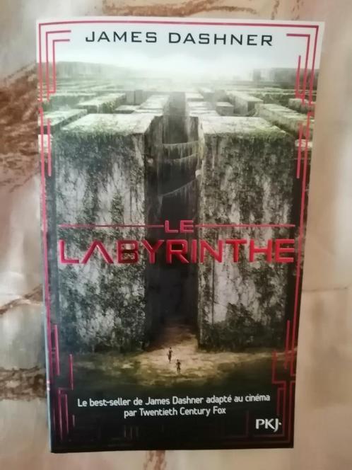 Le Labyrinthe de James Dashner, Livres, Science-fiction, Enlèvement ou Envoi