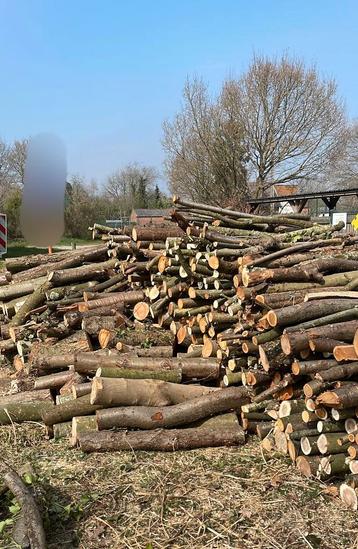 Brandhout, Tuin en Terras, Brandhout, Ophalen