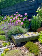 bac (ou auge) en pierre bleue du pays, Moins de 30 cm, Pierre, Enlèvement, Utilisé