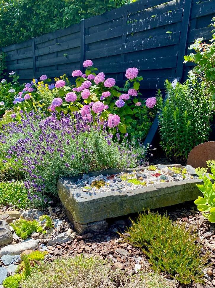 Prachtige stenen trog, Tuin en Terras, Bloembakken en Plantenbakken, Gebruikt, Steen, Tuin, Minder dan 30 cm, 60 tot 100 cm, Rechthoekig