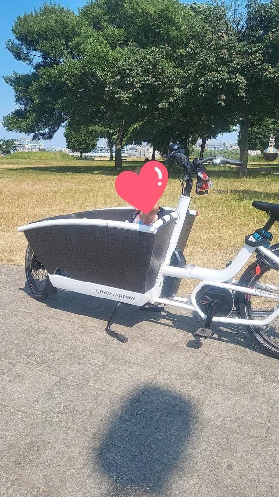 Flèche urbaine : 9180 km, bien entretenue, Vélos & Vélomoteurs, Vélos | Vélos avec bac, Utilisé, Autres marques, 3 enfants, Électrique