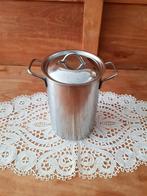 Inox asperges pot/pasta pot, Ophalen of Verzenden, Inox