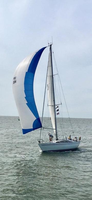 Zeilboot Yamaha 36 beschikbaar voor biedingen