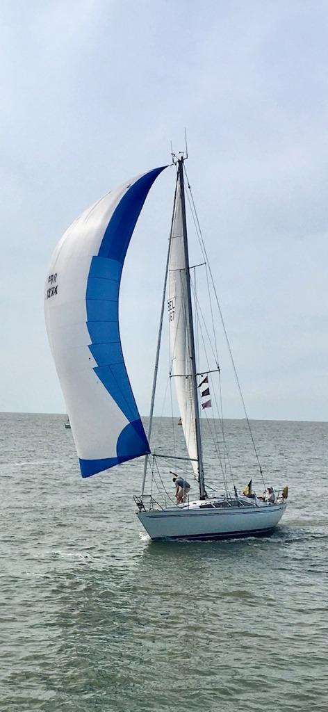 Zeilboot Yamaha 36, Watersport en Boten, Kajuitzeilboten en Zeiljachten, Gebruikt, Tour-wedstrijdjacht, Polyester, 9 tot 12 meter