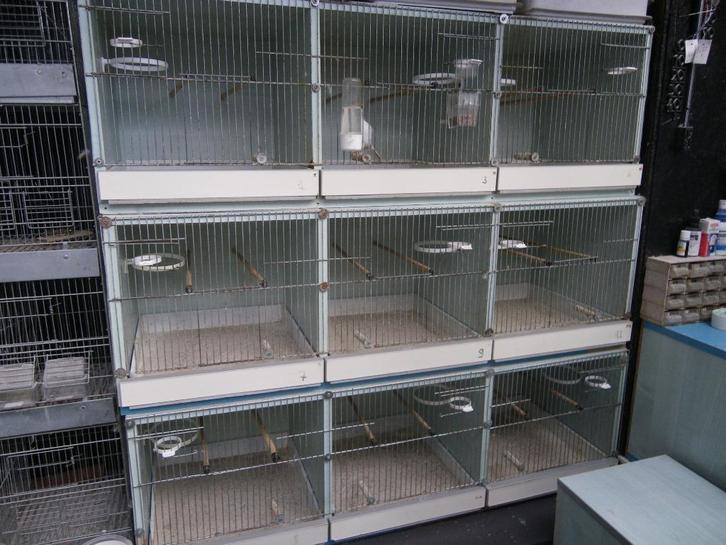 Kweekkooien nodig ?, Dieren en Toebehoren, Vogels | Hokken en Kooien, Gebruikt, Broedkooi of Kweekkooi, Hout, Ophalen