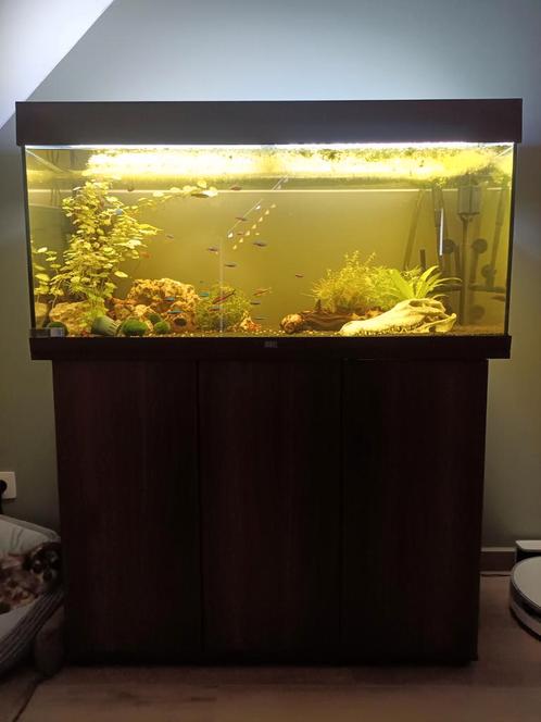 Juwel Rio 180 compleet, veel extra's, Dieren en Toebehoren, Vissen | Aquaria en Toebehoren, Zo goed als nieuw, Ophalen
