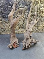 aquarium, RiverCatch, Plant(en), Steen of Hout, Nieuw, Ophalen of Verzenden