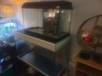 Te koop 2 aquariums Aquatlantis 60 - 80 cm !!, Dieren en Toebehoren, Ophalen, Zo goed als nieuw