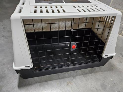 Cage de transport pour chien bon état général, Animaux & Accessoires, Boîtes de transport, Utilisé, Enlèvement