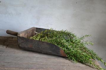 Oude gruttersschep beschikbaar voor biedingen