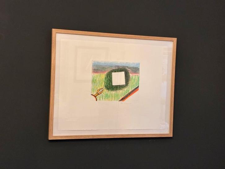 Roger Raveel - Een drang naar volmaaktheid, Antiek en Kunst, Kunst | Litho's en Zeefdrukken, Ophalen of Verzenden