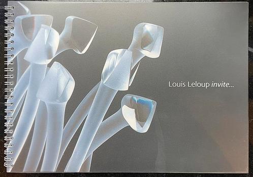 + Louis Leloup nodigt tentoonstellingscatalogus 2003 uit +, Boeken, Kunst en Cultuur | Architectuur, Zo goed als nieuw, Ophalen of Verzenden