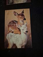 Postkaart bambi's, Verzamelen, Postkaarten | Dieren, Ophalen of Verzenden