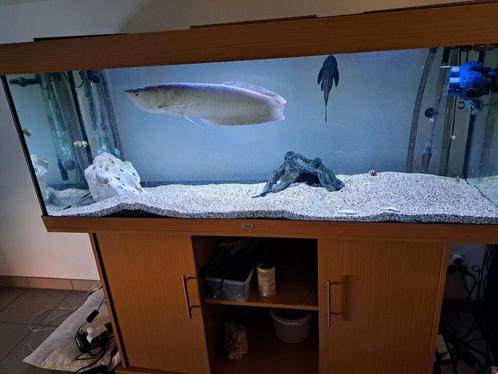 Lido 450, Animaux & Accessoires, Poissons | Aquariums & Accessoires, Comme neuf, Enlèvement