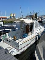 Stevige visboot met boegschroef, Watersport en Boten, Gebruikt, Binnenboordmotor, 6 meter of meer, Diesel