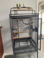 Papegaaien kooi, Animaux & Accessoires, Oiseaux | Cages & Volières, Comme neuf, Enlèvement, Métal, Cage à oiseaux