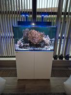 Aquarium Rode Zee, Ophalen, Zo goed als nieuw, Gevuld zeewateraquarium