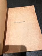 Guido Gezelle door Caesar Gezelle, Gelezen, Kunst en Cultuur, Caesar Gezelle, Ophalen of Verzenden