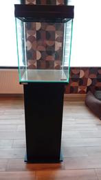 Aquarium met alle toebehoren, Dieren en Toebehoren, Ophalen