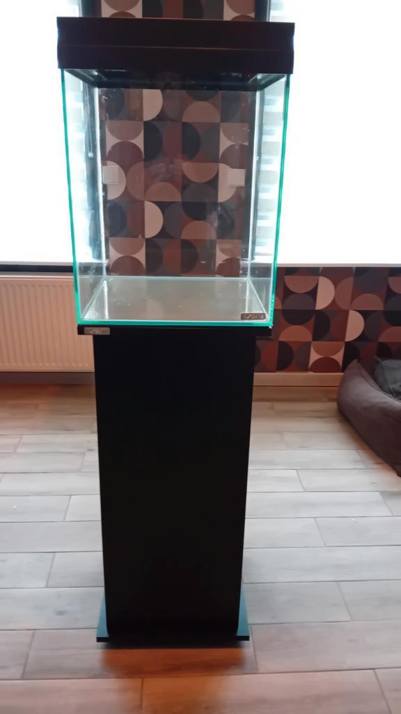 Aquarium met alle toebehoren, Dieren en Toebehoren, Vissen | Aquaria en Toebehoren, Ophalen