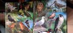Pakje met mappen, Dieren en Toebehoren, Ophalen