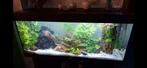 Aquarium, Dieren en Toebehoren, Vissen | Aquaria en Toebehoren, Ophalen, Zo goed als nieuw