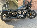 Harley Nightster, Motos, Motos | Harley-Davidson, Permis Moto A, Plus de 35 kW, 2 cylindres, Particulier