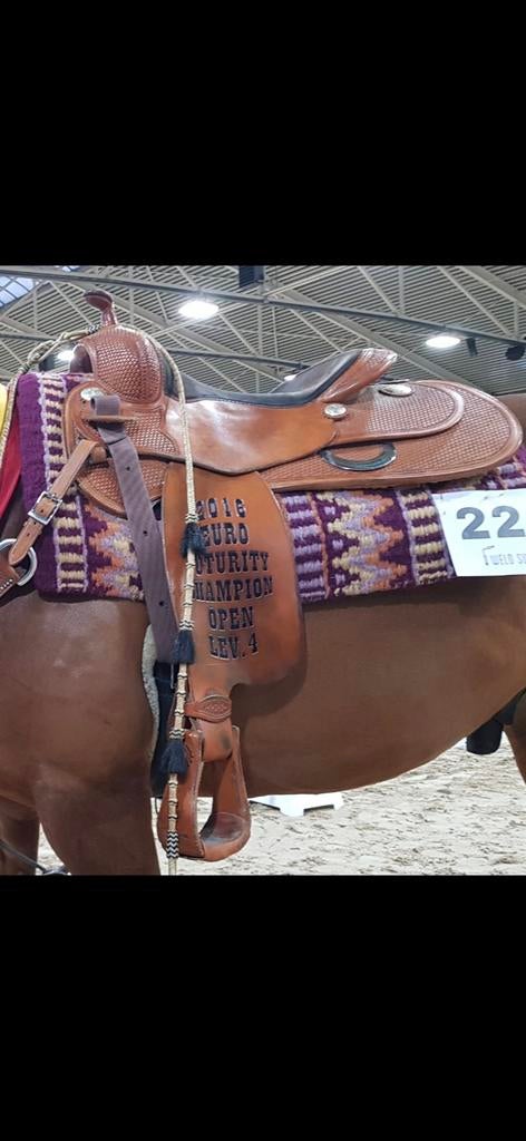 Full quarter reining zadel, Dieren en Toebehoren, Ophalen