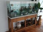 Aquarium, Dieren en Toebehoren, Ophalen, Inclusief vissen, Gevuld zoetwateraquarium, Overige merken