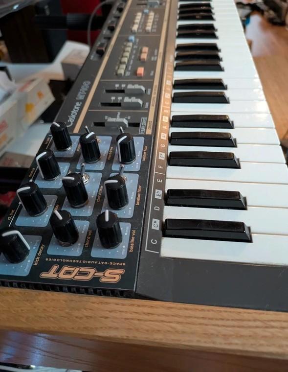 Casio MT-100 MT100 Casiotone synth S-CAT Circuit Bent, Muziek en Instrumenten, Synthesizers, Gebruikt, 49 toetsen, Overige merken