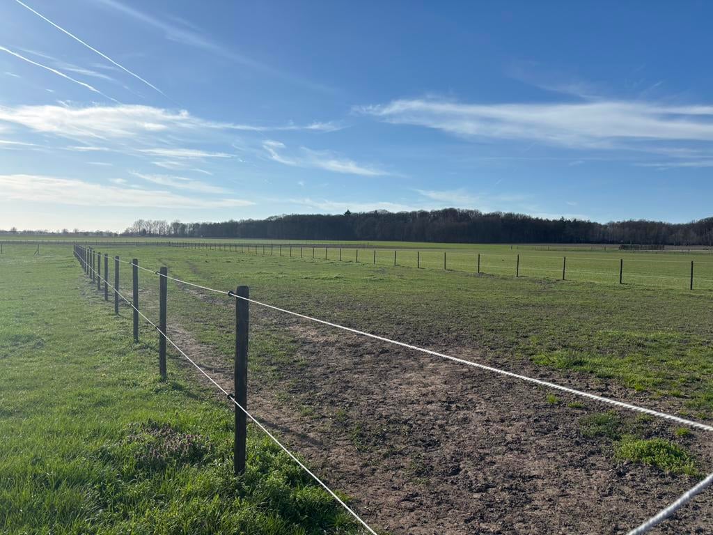 Kleinschalige privé stalling, Dieren en Toebehoren, Stalling