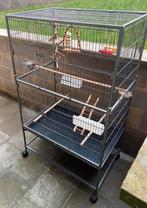 Grande nouvelle cage avec tous les accessoires, Animaux & Accessoires, Neuf, Cage à oiseaux