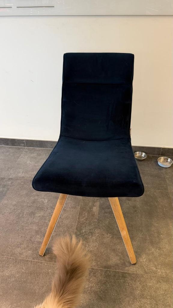 Xooon - Blauwe Stijlvolle Stoelen - 8 stuks, Maison & Meubles, Chaises, Utilisé, Cinq, Six Chaises ou plus, Bois, Métal, Bleu