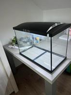 Aquarium te koop, Enlèvement, Utilisé, Aquarium vide