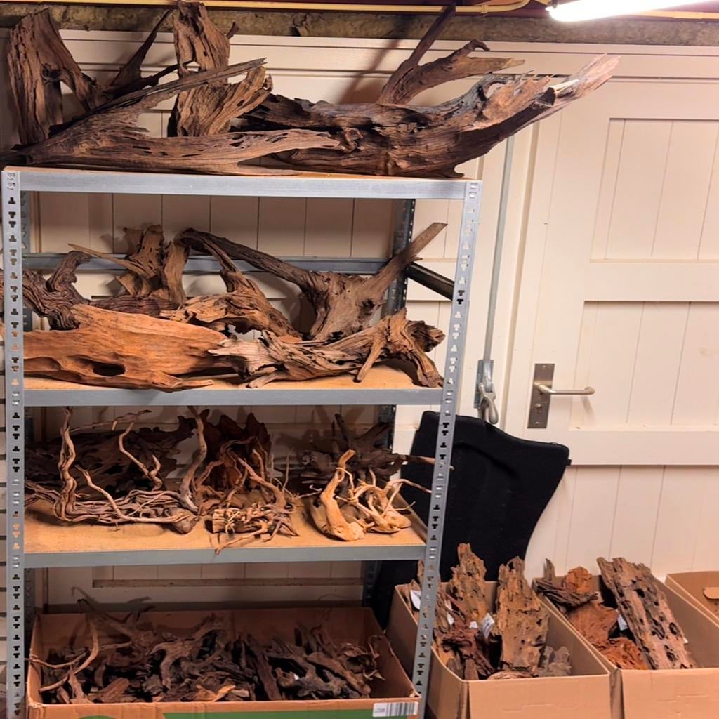 50 Stukken Kienhout / Driftwood / Spiderwood, Hout Decoratie, Dieren en Toebehoren, Vissen | Aquaria en Toebehoren, Zo goed als nieuw