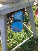 Stapmolen, Dieren en Toebehoren