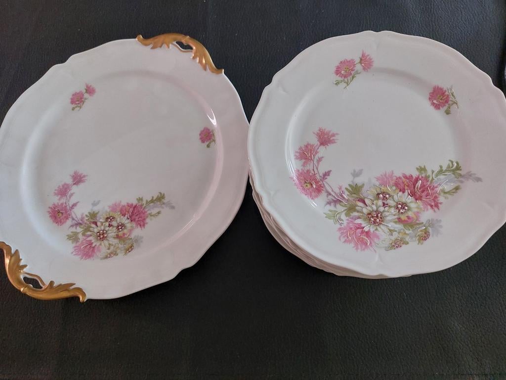 Limoges- Handgeschilderd- taartschotel + dessertbordjes, Ophalen