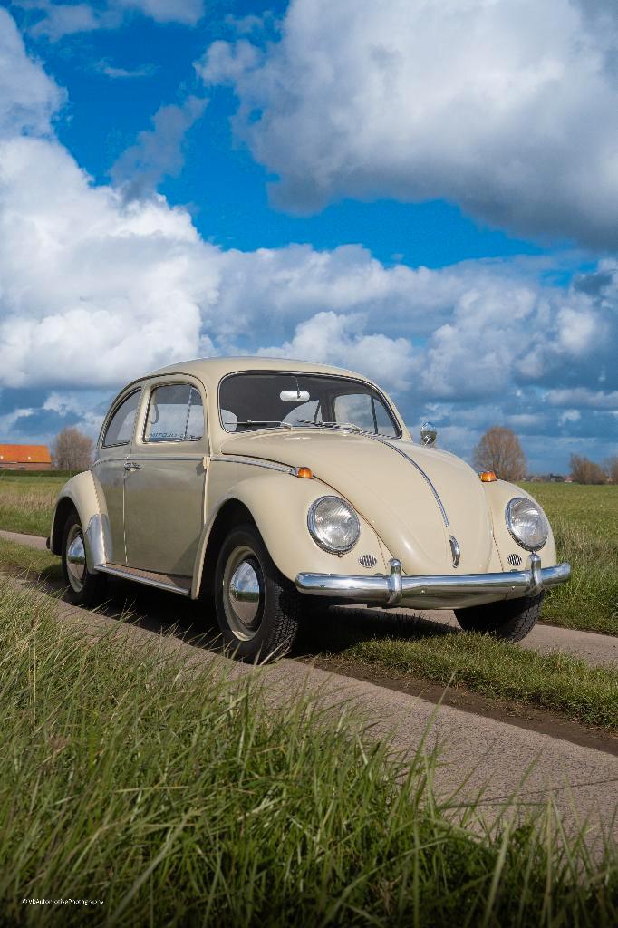 Volkswagen Coccinelle 1200, année 1964, contrôlée + garantie, Autos, Volkswagen, Entreprise, Achat, Coccinelle, Essence, Coupé