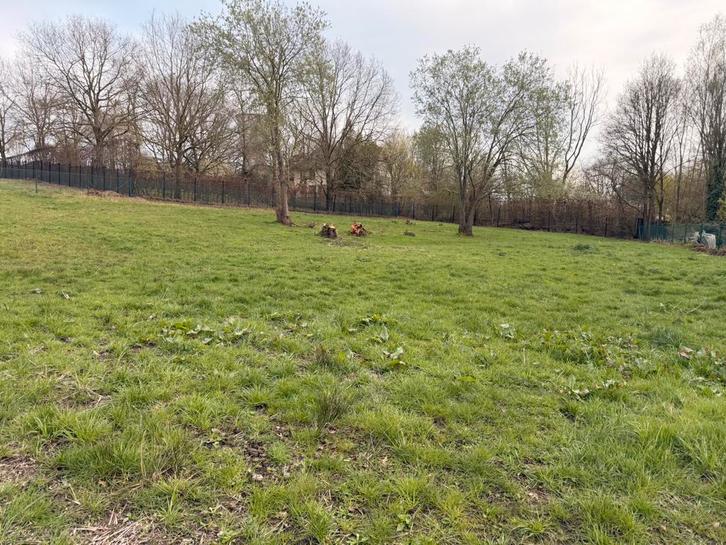 Weidemaatje gezocht voor lieve 25-jarige D-pony, Animaux & Accessoires, Box & Pâturages, Pâturage, 2 ou 3 chevaux ou poneys