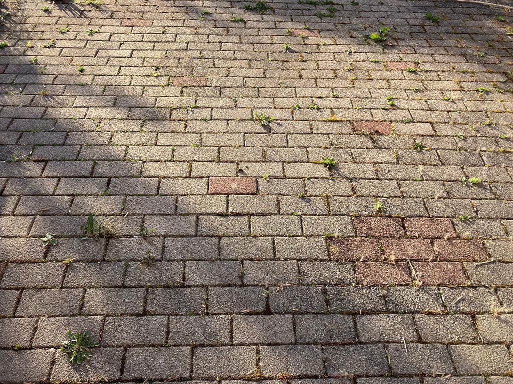 Pavés autobloquants 20 cm x 10 cm x 6 cm, Jardin & Terrasse, Béton, Enlèvement, Utilisé, Briques