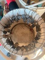 Grote partij shads en pilkers noorwegen  skrei heilbot, Watersport en Boten, Hengelsport | Zeevissen, Ophalen, Zo goed als nieuw