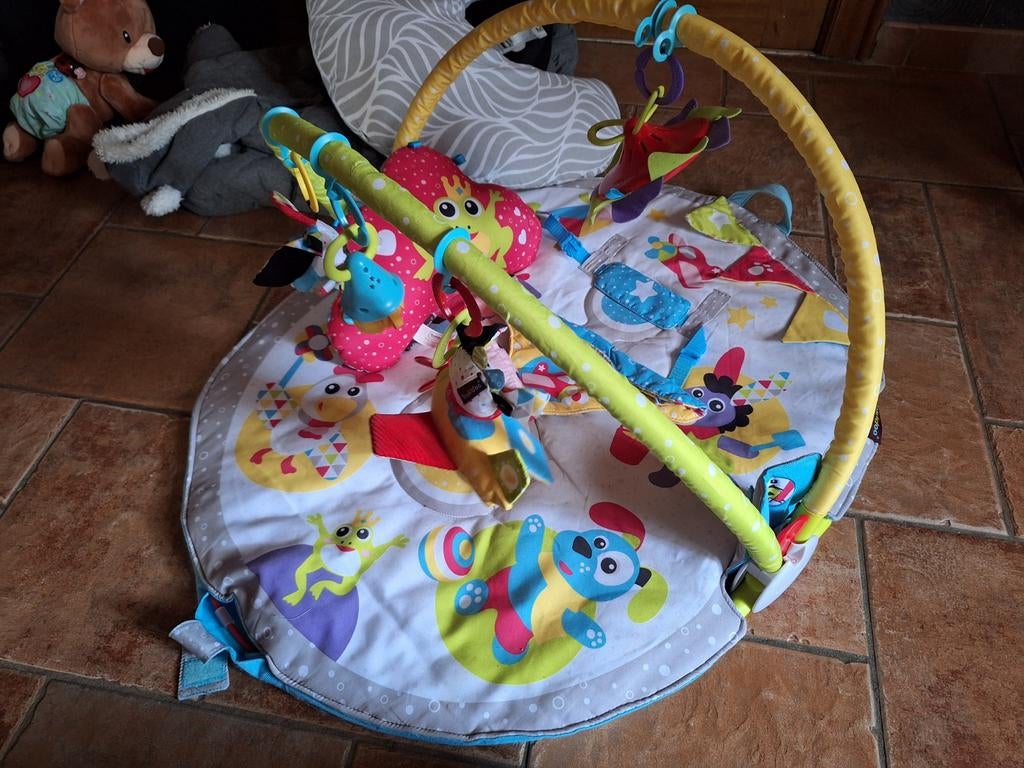 Baby Gym Lay to Sit-Up Playmat, Ophalen