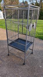 Grande cage pour perroquet, Enlèvement, Utilisé, Cage à oiseaux
