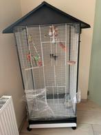 Kooi, Dieren en Toebehoren, Ophalen, Zo goed als nieuw